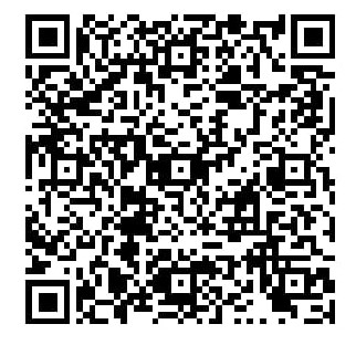 QR Code Pix